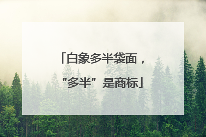 白象多半袋面，“多半”是商标