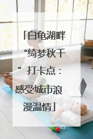 白龟湖畔“绮梦秋千”打卡点：感受城市浪漫温情