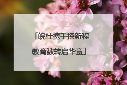 皖桂携手探新程 教育数转启华章