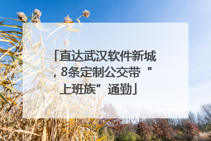 直达武汉软件新城，8条定制公交带“上班族”通勤