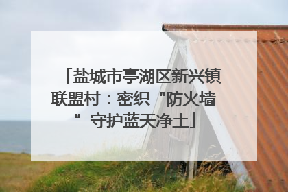 盐城市亭湖区新兴镇联盟村：密织“防火墙”守护蓝天净土
