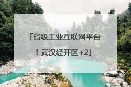 省级工业互联网平台！武汉经开区+2