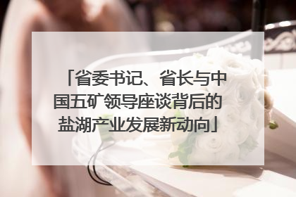 省委书记、省长与中国五矿领导座谈背后的盐湖产业发展新动向