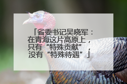 省委书记吴晓军：在青海这片高原上，只有“特殊贡献”，没有“特殊待遇”