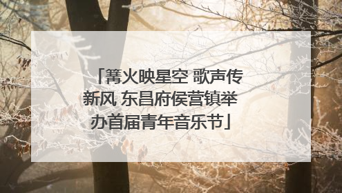 篝火映星空 歌声传新风 东昌府侯营镇举办首届青年音乐节