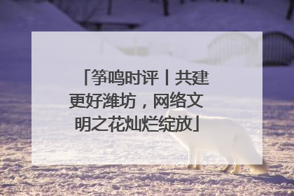 筝鸣时评丨共建更好潍坊，网络文明之花灿烂绽放
