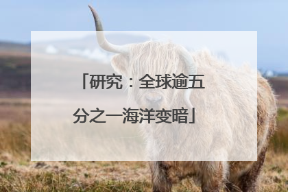 研究：全球逾五分之一海洋变暗