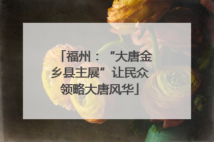 福州：“大唐金乡县主展”让民众领略大唐风华