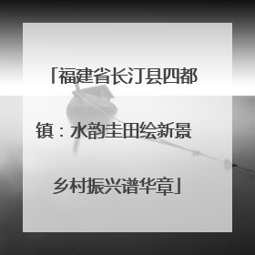 福建省长汀县四都镇：水韵圭田绘新景 乡村振兴谱华章