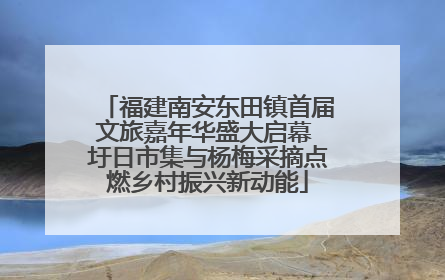 福建南安东田镇首届文旅嘉年华盛大启幕 圩日市集与杨梅采摘点燃乡村振兴新动能