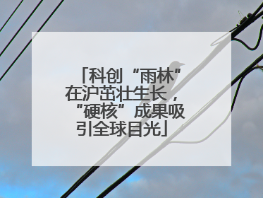 科创“雨林”在沪茁壮生长，“硬核”成果吸引全球目光