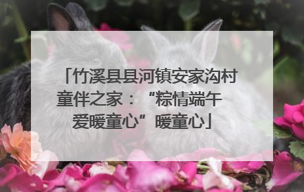 竹溪县县河镇安家沟村童伴之家：“粽情端午 爱暖童心”暖童心