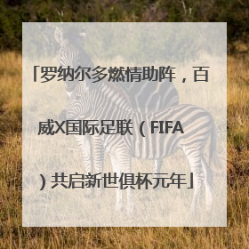 罗纳尔多燃情助阵，百威X国际足联（FIFA）共启新世俱杯元年
