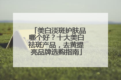 美白淡斑护肤品哪个好？十大美白祛斑产品，去黄提亮品牌选购指南