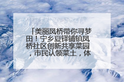 美丽凤桥带你寻梦田！宁乡夏铎铺镇凤桥社区创新共享菜园，市民认领菜土，体验耕种收获乐趣