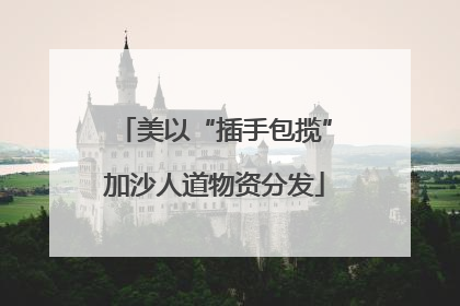 美以“插手包揽”加沙人道物资分发