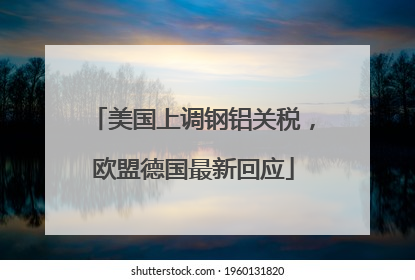 美国上调钢铝关税，欧盟德国最新回应