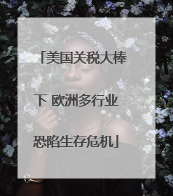 美国关税大棒下 欧洲多行业恐陷生存危机