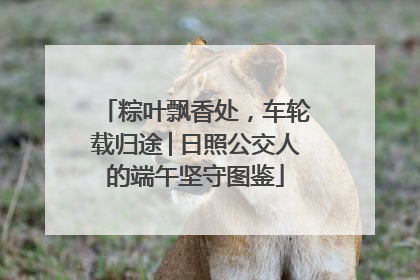 粽叶飘香处，车轮载归途│日照公交人的端午坚守图鉴