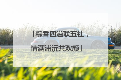粽香四溢联五社，情满浦沅共欢颜