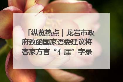 纵览热点｜龙岩市政府致函国家语委建议将客家方言“亻厓”字录入《新华字典》引发热议，当地回应