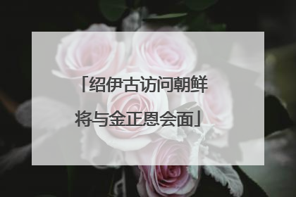 绍伊古访问朝鲜 将与金正恩会面