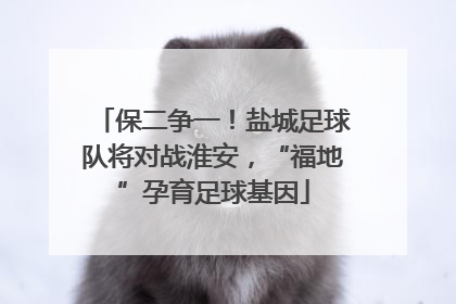 保二争一！盐城足球队将对战淮安，“福地”孕育足球基因
