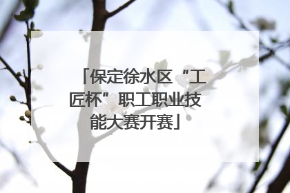 保定徐水区“工匠杯”职工职业技能大赛开赛