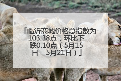 临沂商城价格总指数为103.38点，环比下跌0.10点（5月15日—5月21日）