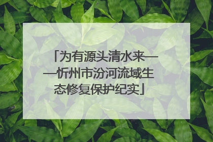 为有源头清水来——忻州市汾河流域生态修复保护纪实