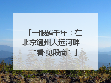 一眼越千年：在北京通州大运河畔“看·见殷商”