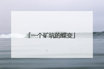 一个矿坑的蝶变