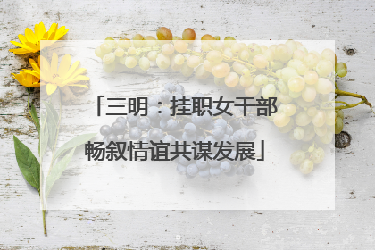 三明：挂职女干部畅叙情谊共谋发展