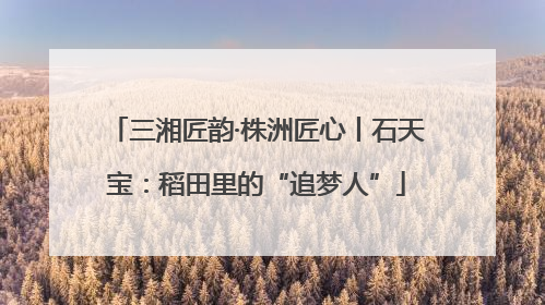 三湘匠韵·株洲匠心丨石天宝：稻田里的“追梦人”