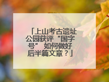 上山考古遗址公园获评“国字号” 如何做好后半篇文章？