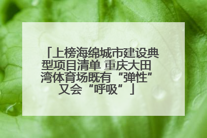 上榜海绵城市建设典型项目清单 重庆大田湾体育场既有“弹性”又会“呼吸”