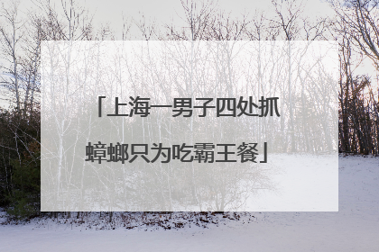 上海一男子四处抓蟑螂只为吃霸王餐