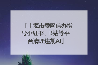 上海市委网信办指导小红书、B站等平台清理违规AI