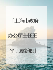 上海市政府办公厅主任王平，履新职