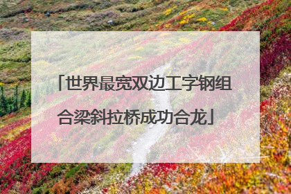 世界最宽双边工字钢组合梁斜拉桥成功合龙