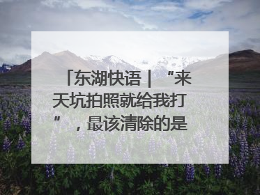 东湖快语｜“来天坑拍照就给我打”，最该清除的是“护短”思维
