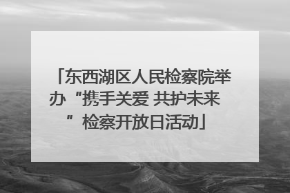 东西湖区人民检察院举办“携手关爱 共护未来”检察开放日活动