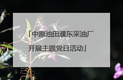 中原油田濮东采油厂开展主题党日活动