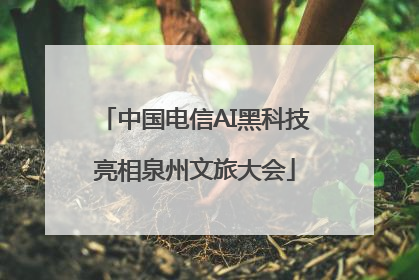 中国电信AI黑科技亮相泉州文旅大会