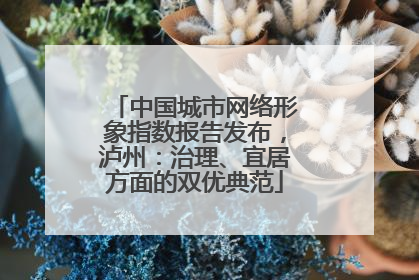 中国城市网络形象指数报告发布，泸州：治理、宜居方面的双优典范