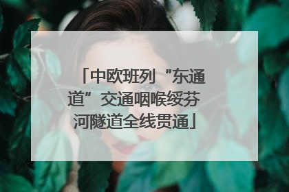 中欧班列“东通道”交通咽喉绥芬河隧道全线贯通