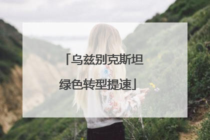 乌兹别克斯坦绿色转型提速