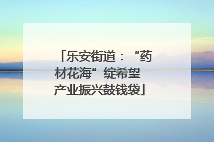 乐安街道：“药材花海”绽希望 产业振兴鼓钱袋