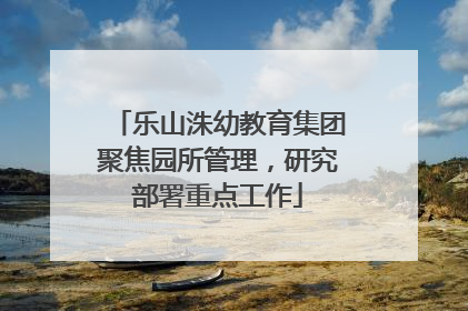 乐山洙幼教育集团聚焦园所管理，研究部署重点工作