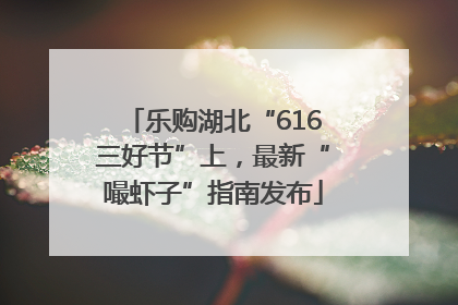 乐购湖北“616三好节”上，最新“嘬虾子”指南发布